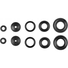 Pagrindinio stabdžių cilindro ir darbinio cilindro tarpiklių komplektas