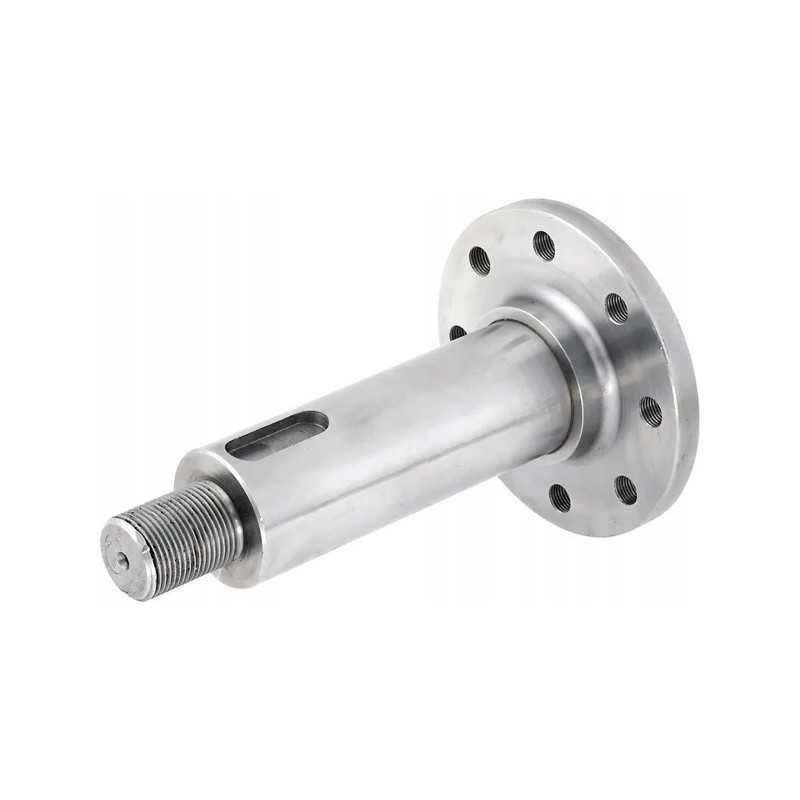 Sankabos slėgio plokštės kaištis tinka Bison