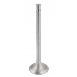 Įsiurbimo vožtuvas tinka Baltarusijai