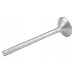 Įsiurbimo vožtuvas tinka Baltarusijai