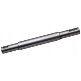 Dubenėlio padavimo volelis tinka bizonui