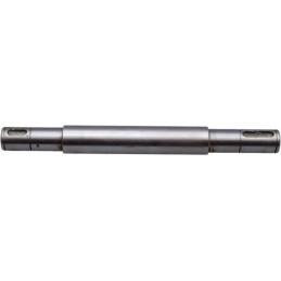 Dubenėlio padavimo volelis tinka bizonui