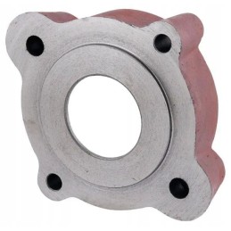 Deflektoriaus guolio korpusas tinka Bizon