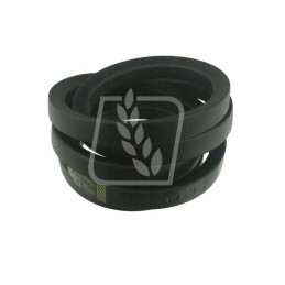 Variatoriaus diržas 2 vnt 617309 claas 32 x 3200