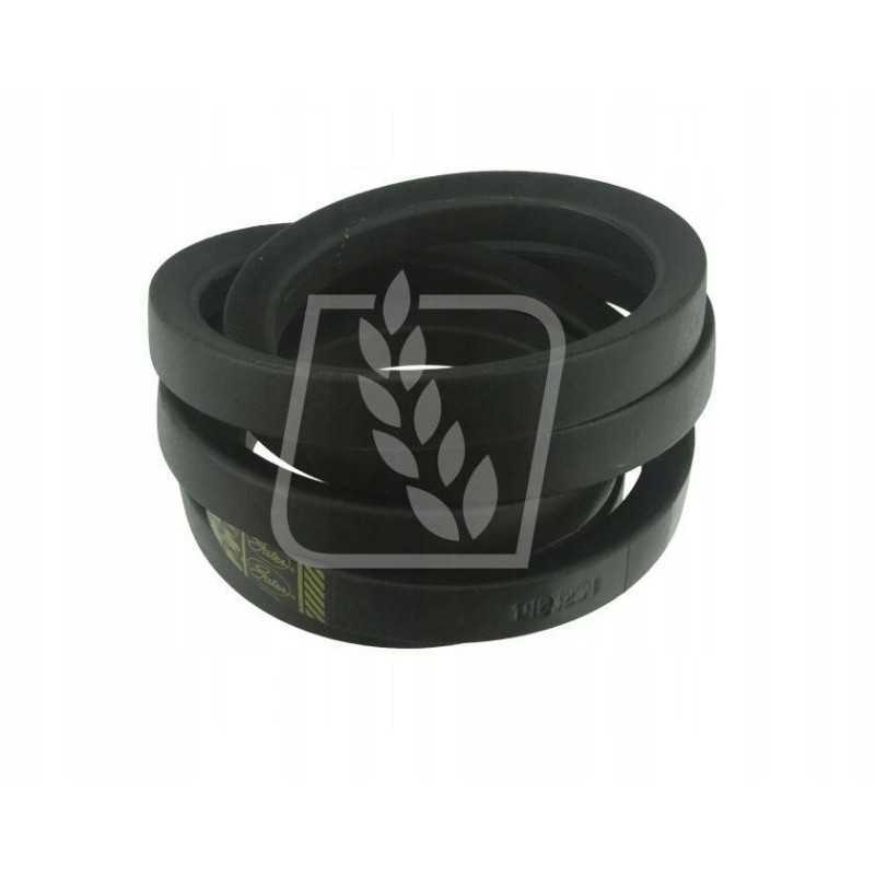 Variatoriaus diržas 2 vnt 617309 claas 32 x 3200