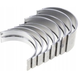 Pagrindiniai guoliai Mahle vardinis rinkinys mf 3 cil