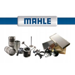 Mahle pagrindinių guolių rinkiniai 1 00 ursus c 360 s400