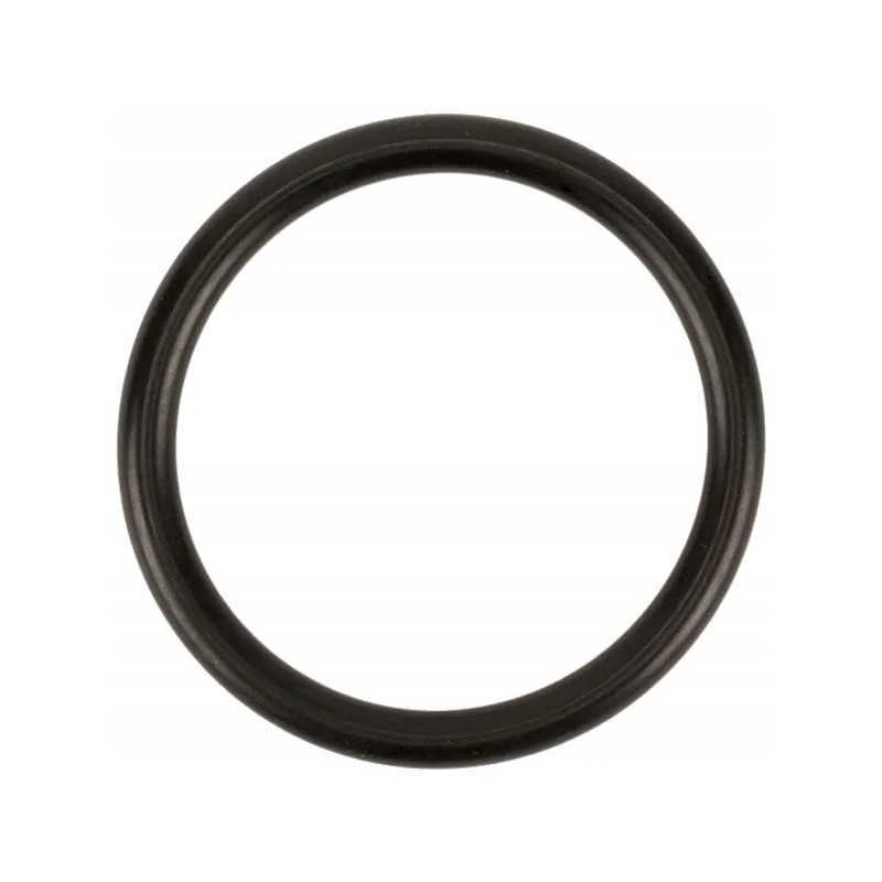 Sandarinimo žiedas d31 34 rif 4125