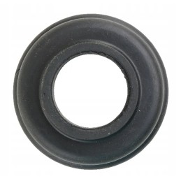 Dangtis tinka Baltarusijai