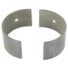 Švaistiklio guolio vardinis korpusas ih