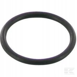 O žiedo korpusas ih sandarinimo žiedas