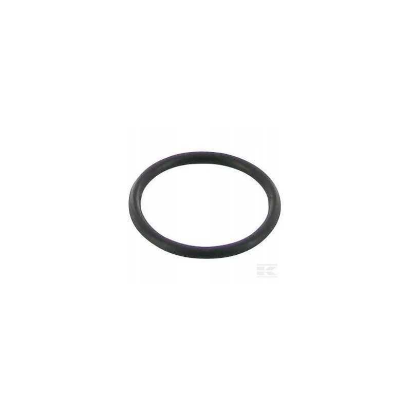 O žiedo korpusas ih sandarinimo žiedas