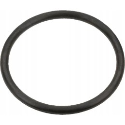 O žiedo korpusas ih sandarinimo žiedas