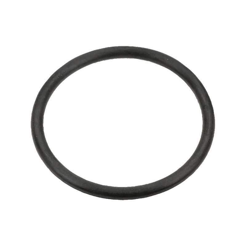 O žiedo korpusas ih sandarinimo žiedas