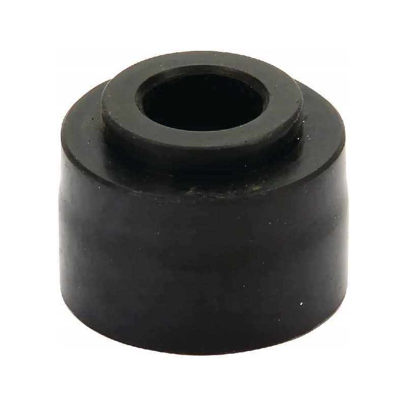 Įvorė tinka Baltarusijai