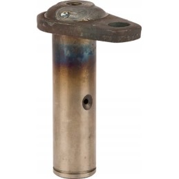 Vairo pavaros kaištis