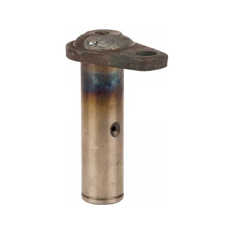 Vairo pavaros kaištis