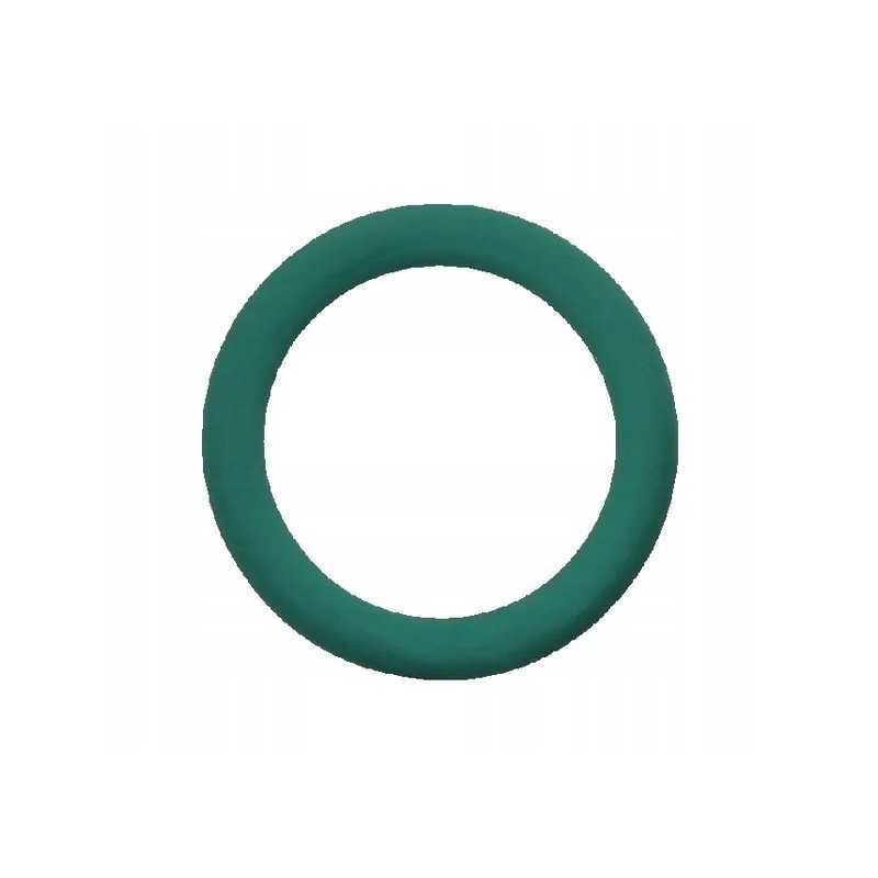 Korpuso sandarinimo žiedas