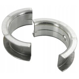 Pagrindinis guolis 0 25 korpusas ih