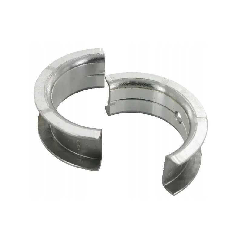 Pagrindinis guolis 0 25 korpusas ih