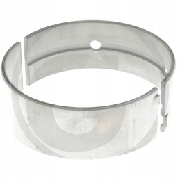 Pagrindinis guolio korpusas ih 38002969 granitas