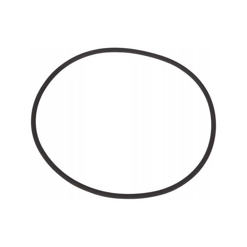 O-žiedo sandariklis