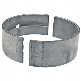 Pagrindinis guolio korpusas ih 38002969 granitas