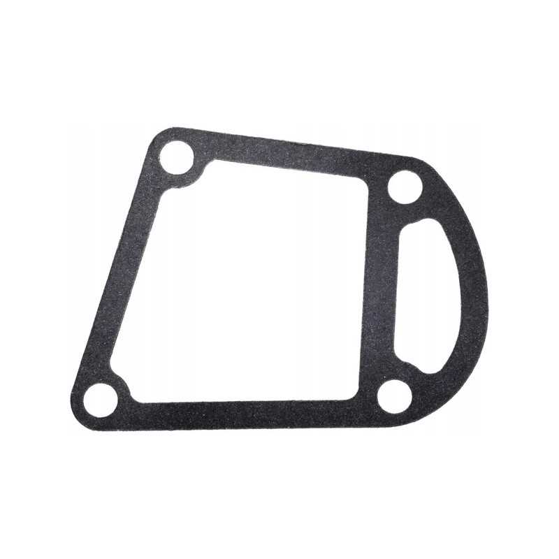 Vandens siurblio korpuso tarpiklis