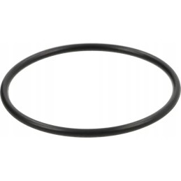 O-žiedo sandariklis