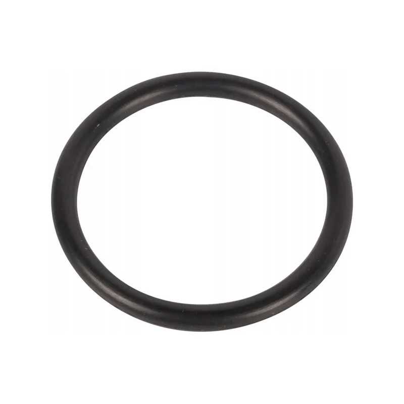 O-žiedo sandariklis