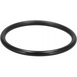 O-žiedo sandariklis