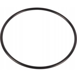 O-žiedo sandariklis