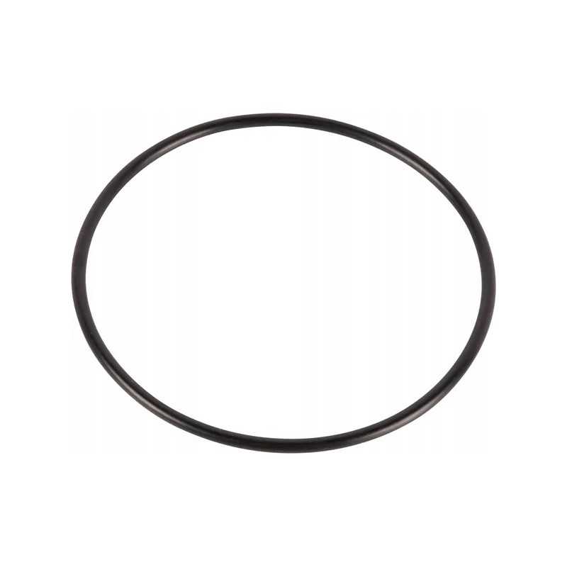 O-žiedo sandariklis