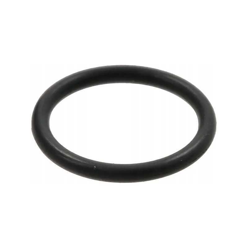 O-žiedo sandariklis