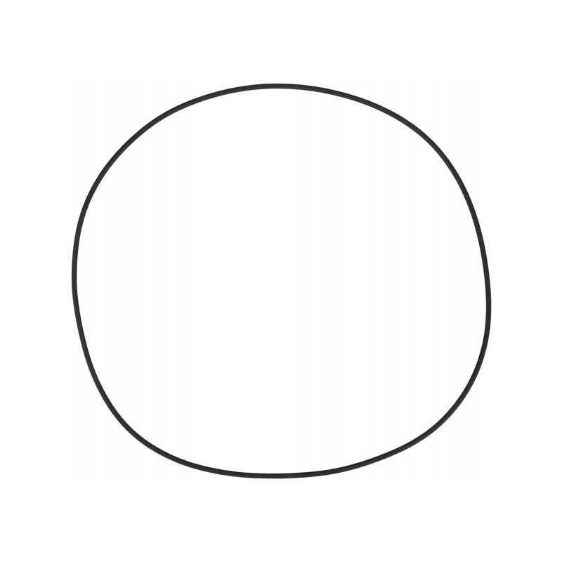 O-žiedo sandariklis