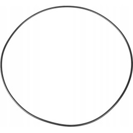 O-žiedo sandariklis