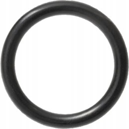 O-žiedo sandariklis