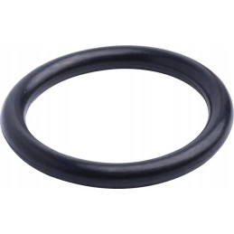 O-žiedo sandariklis