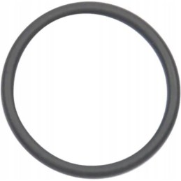 O-žiedo sandariklis