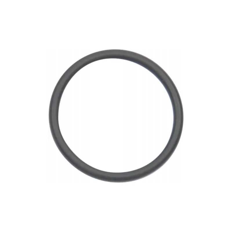 O-žiedo sandariklis