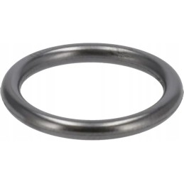 O-žiedo sandariklis