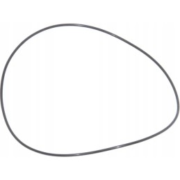 O-žiedo sandariklis