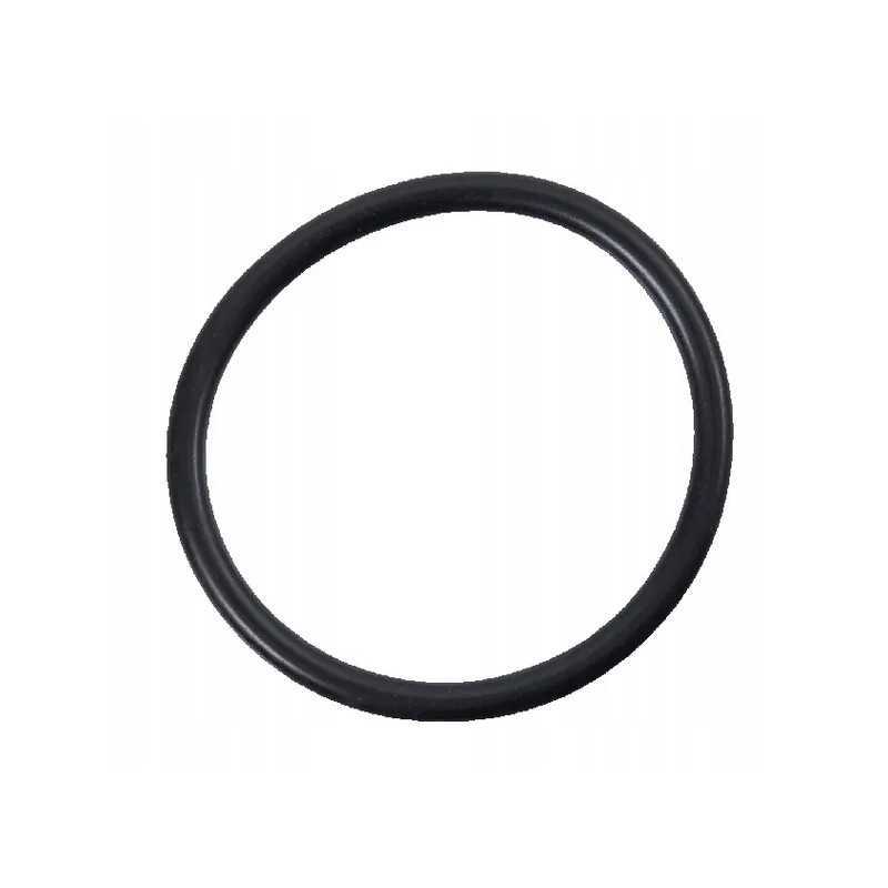 Sandarinimo žiedas cnh