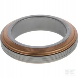 Išmetimo kolektoriaus tarpinė