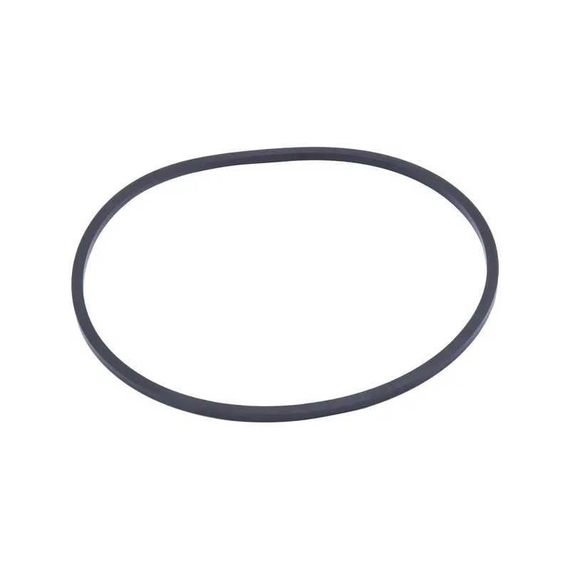 Filtro sandarinimo žiedas