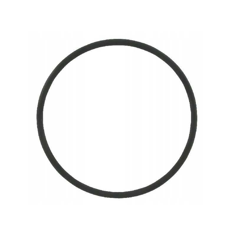 Sandarinimo žiedas cnh