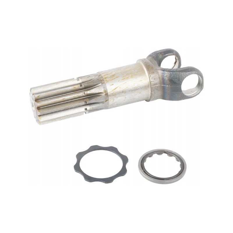 Polos trumpos nuo rato pusės