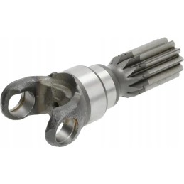 Polos trumpos nuo rato pusės