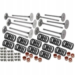 Vpa6020 įsiurbimo vožtuvų ir spyruoklių komplektas vapormatic jd