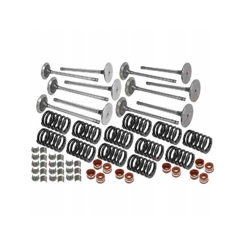 Vpa6020 įsiurbimo vožtuvų ir spyruoklių komplektas vapormatic jd